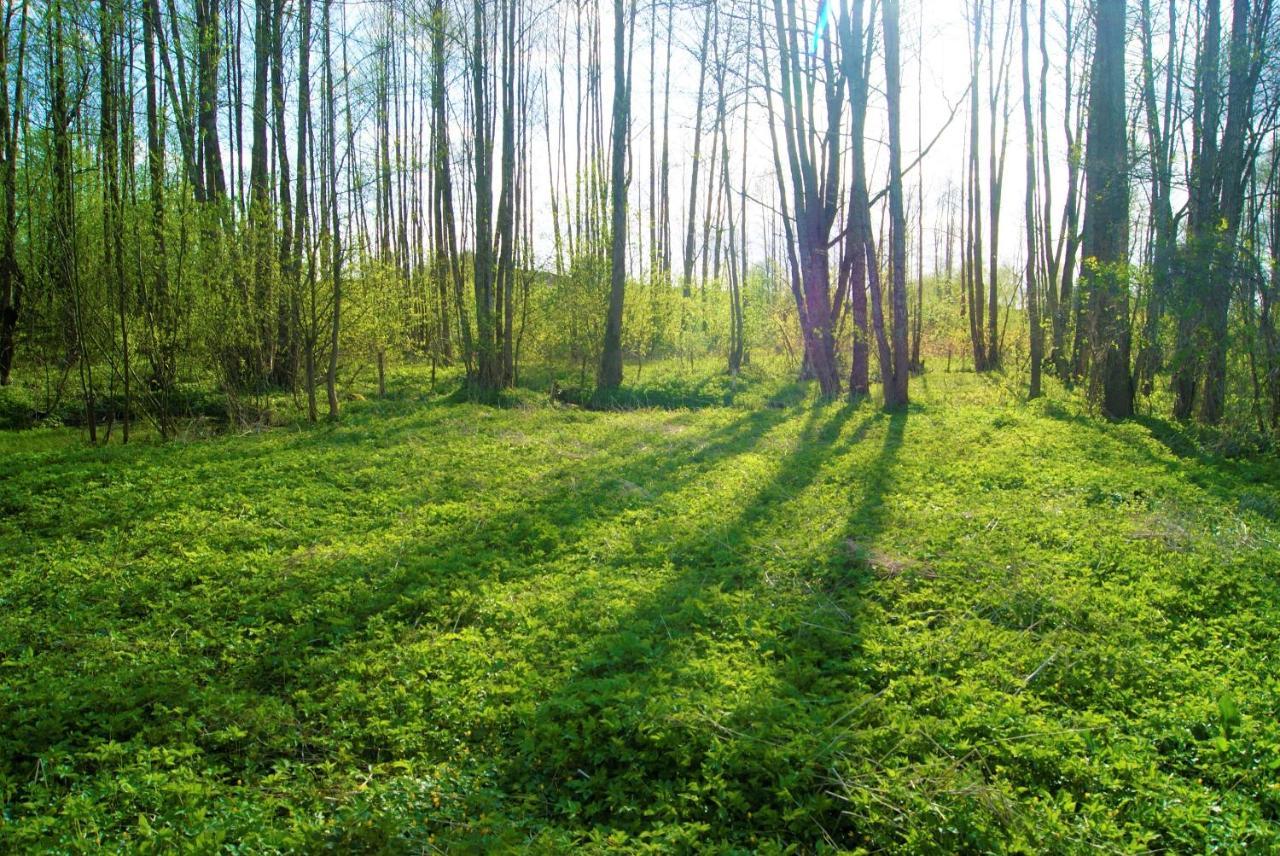 Losiowate Gospodarstwo Agroturystyczne Rybaki  Exteriör bild