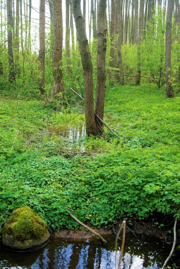 Losiowate Gospodarstwo Agroturystyczne Rybaki  Exteriör bild
