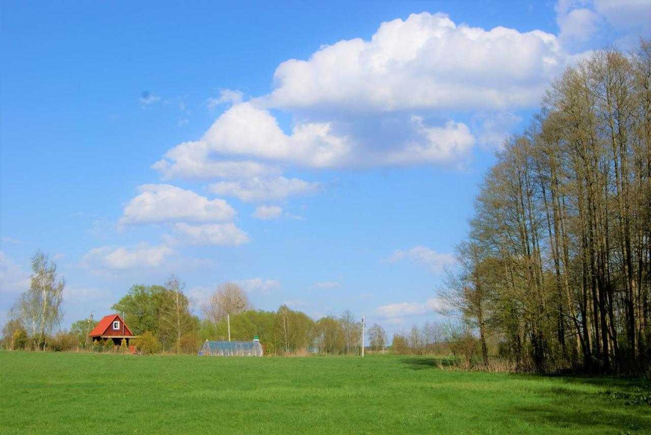 Losiowate Gospodarstwo Agroturystyczne Rybaki  Exteriör bild
