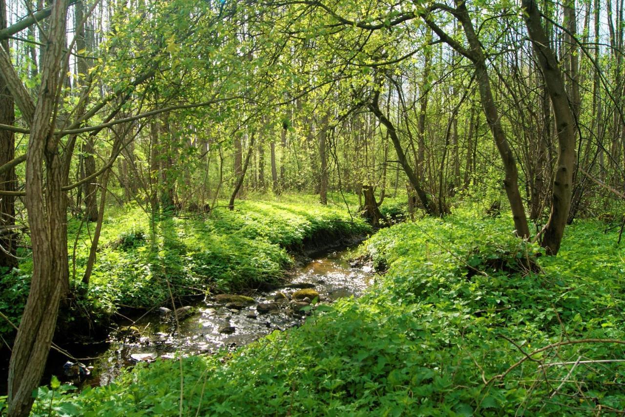 Losiowate Gospodarstwo Agroturystyczne Rybaki  Exteriör bild