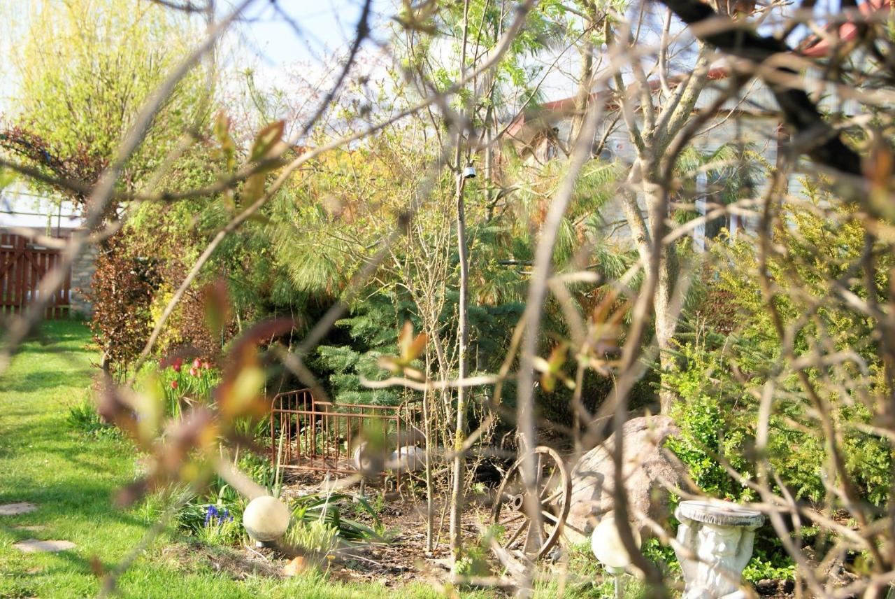 Losiowate Gospodarstwo Agroturystyczne Rybaki  Exteriör bild